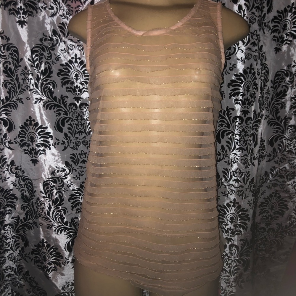 Oh my Julian lace pink ss see thru top shirt NWT